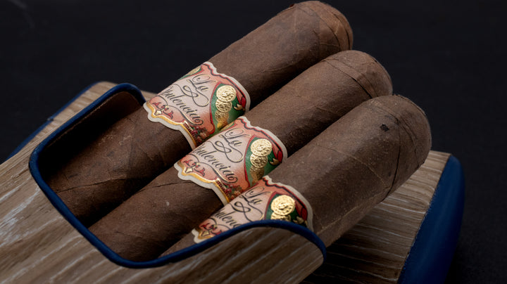 My Father La Opulencia Toro in a case