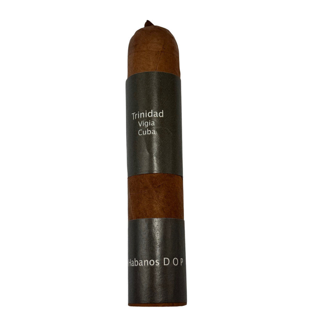 Trinidad Vigia
