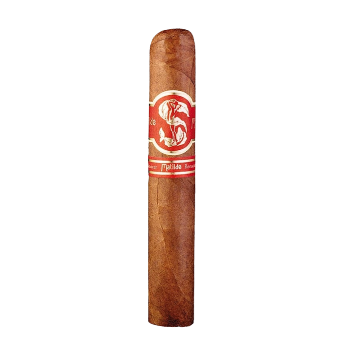 Matilde Renacer Grande   City Cigar Emporium