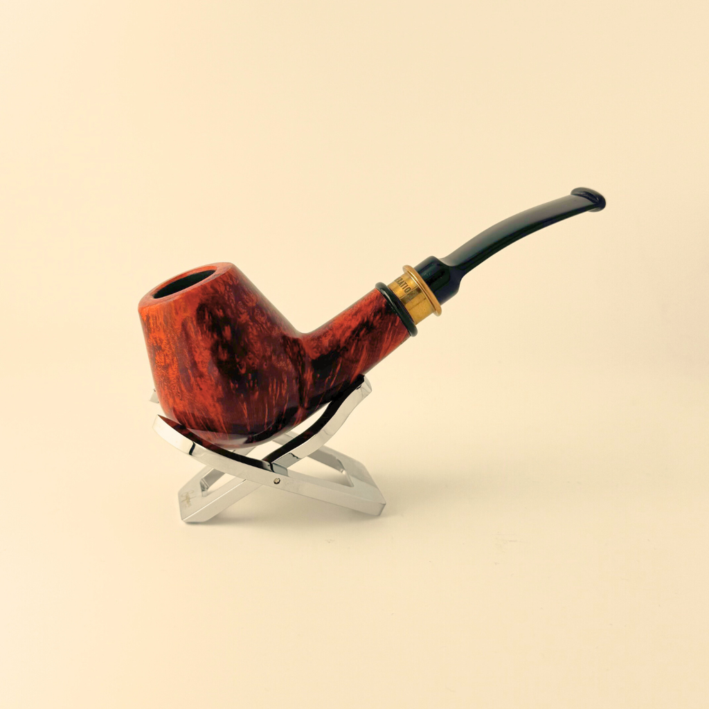 Mature Orange 1882 B