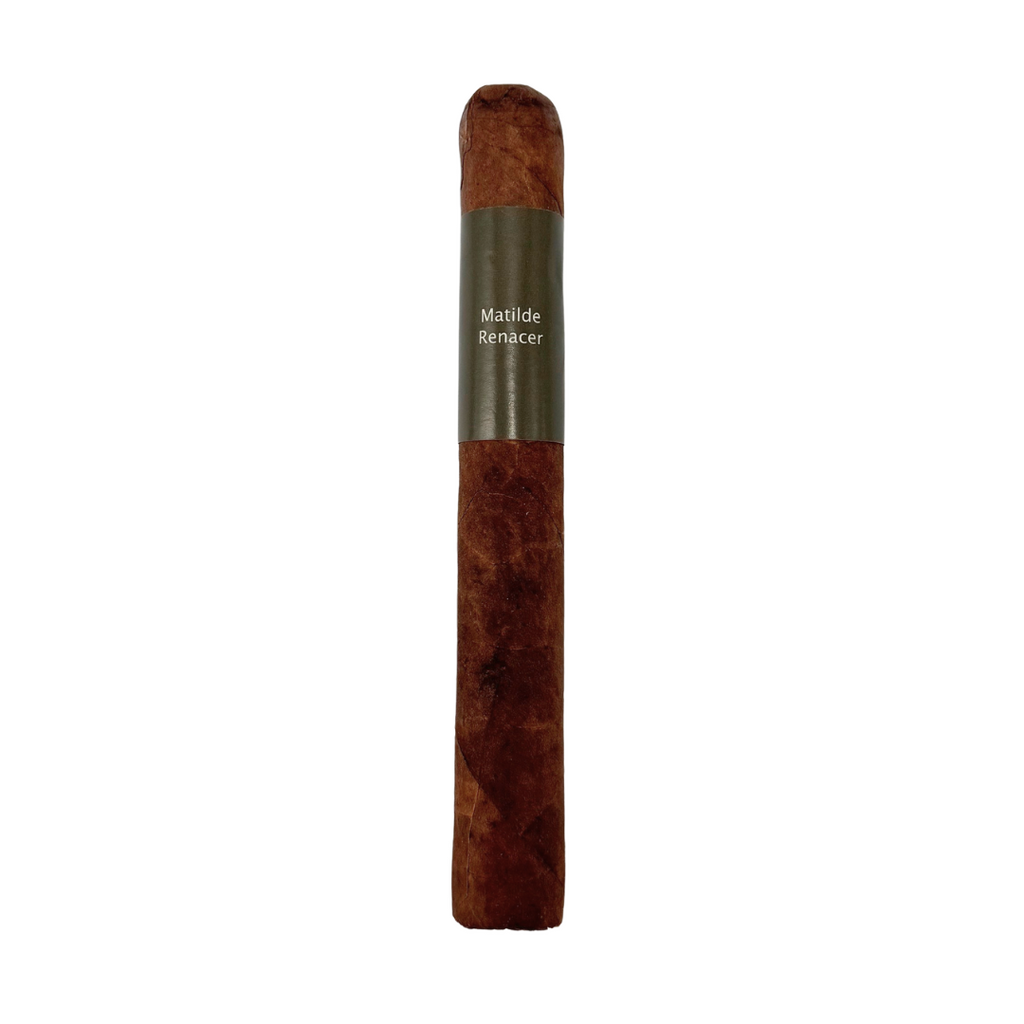 Matilde Renacer Toro Bravo