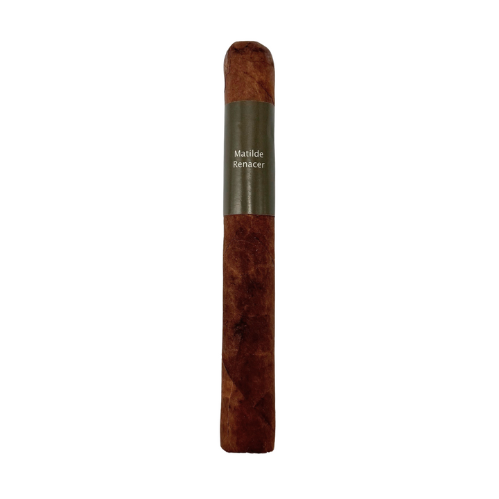Matilde Renacer Toro Bravo  Domincan Republic Cigars City Cigar Emporium