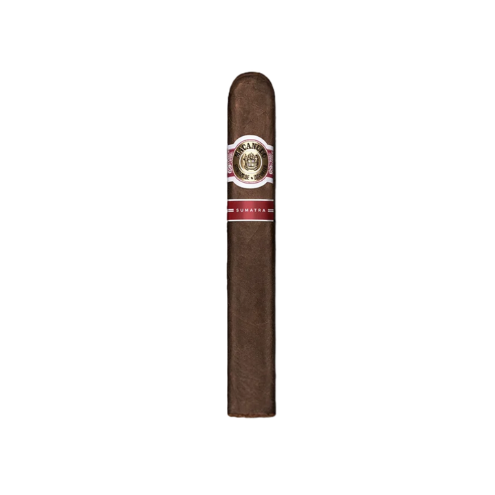 Macanudo Sumatra Robusto   City Cigar Emporium