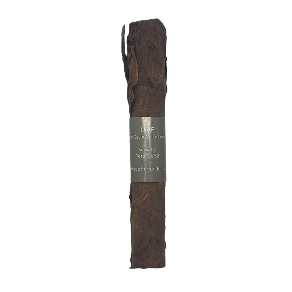 Oscar Valladares Leaf by Oscar Sumatra Toro
