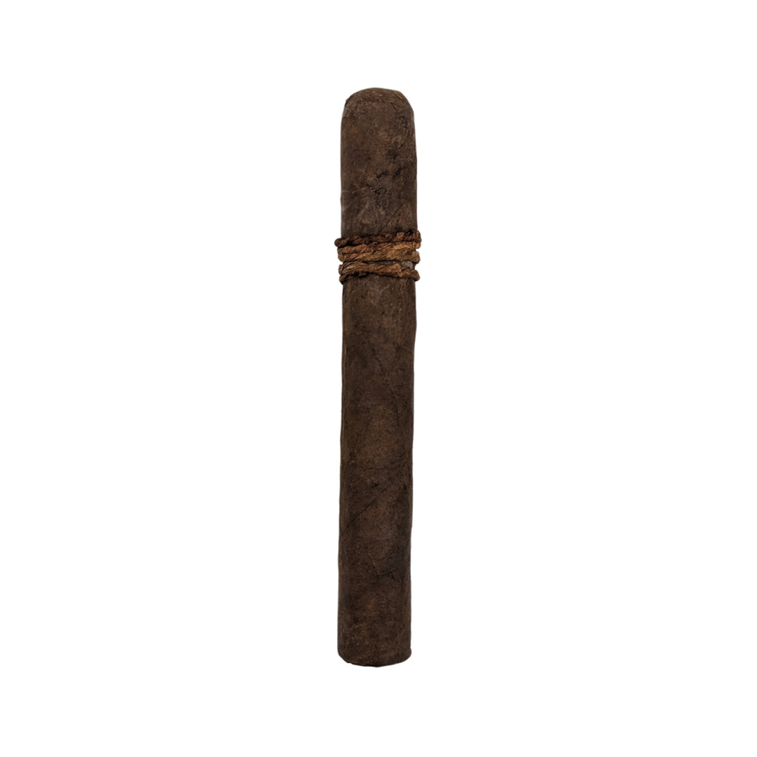 CAO Amazon Basin Extra Anejo  Nicaraguan Cigars City Cigar Emporium