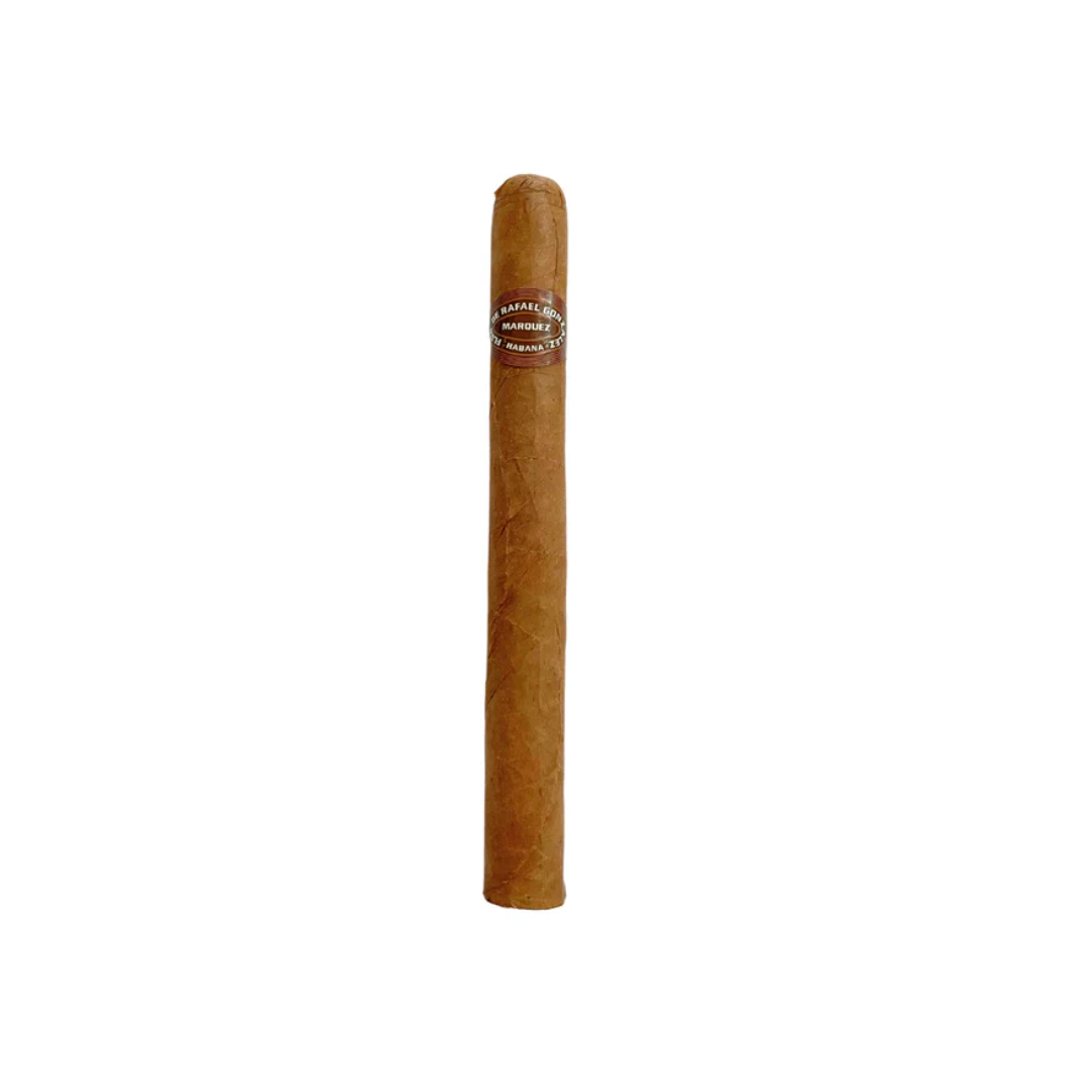 Rafael Gonzalez Panetelas Extra   City Cigar Emporium